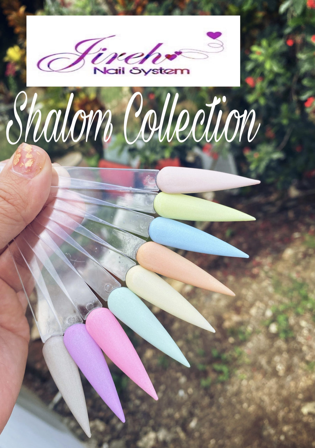 Shalom Collection